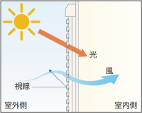 強い日差し